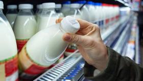Себестоимость российского производства молока может вырасти на 10%